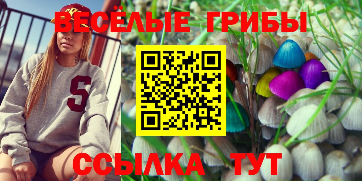 Новокубанск  Псилоцибиновые грибы MAGIC MUSHROOMS  Вход с VPN 